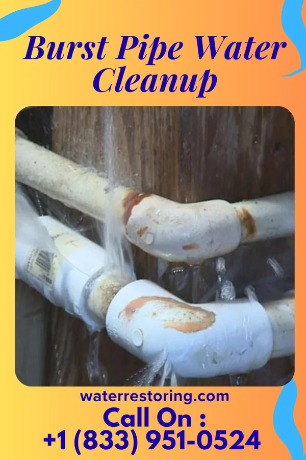 Burst Pipe Water Cleanup in Wilmette, IL